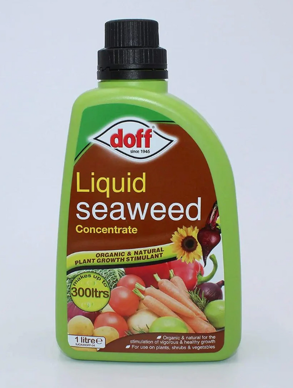 Doff Liquid Seaweed Concentrated Multi Purpose Feed 1 Litre