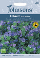 Johnsons Seeds Echium Blue Bedder