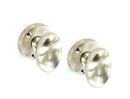 Securit Brushed Nickel Oval Mortice Knobs (Pair) 60mm