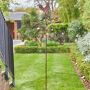 Smart Garden Cockerel Wind Vane
