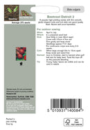 Johnsons 121013 Beta vulgaris - Beetroot Detroit 2