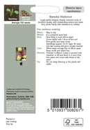 Johnsons 121064 Brassica napus napobrassica - Swede Helenor