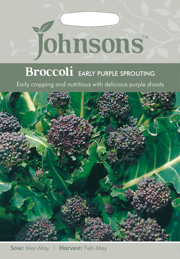 Johnsons Seeds Broccoli Early Purple Sprouting