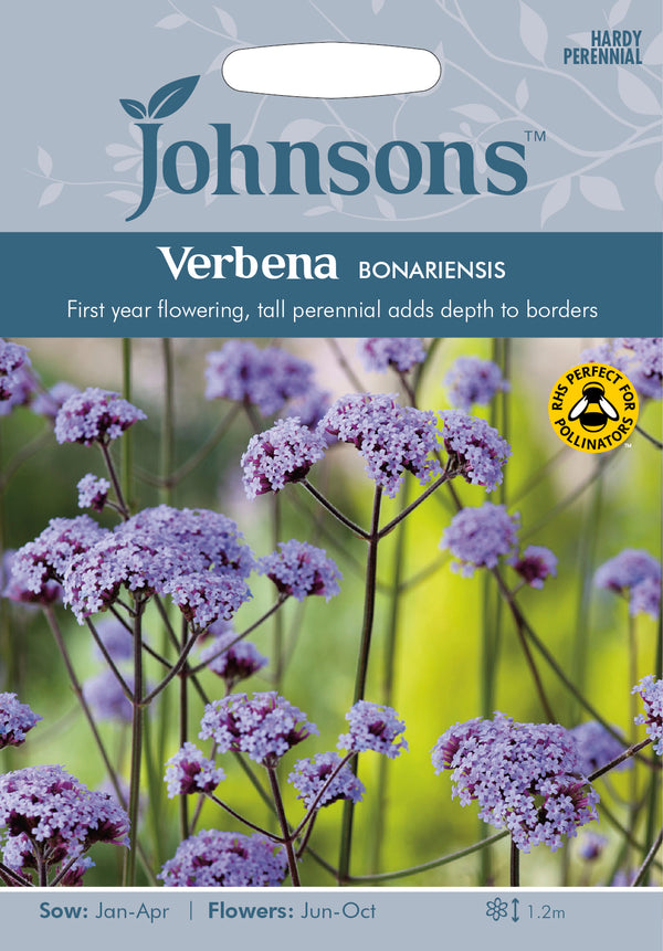 Johnsons Seeds Verbena bonariensis 