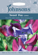 Johnsons Lathyrus odoratus - Sweet Pea Cupani