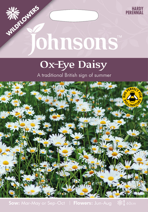 Johnsons Seeds Leucanthemum vulgare - Wildflower Ox Eye Daisy