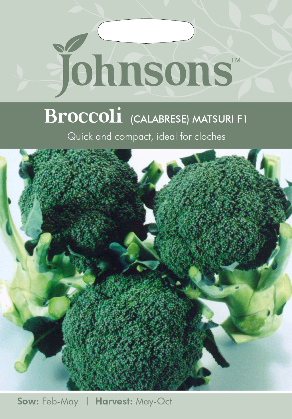 Johnsons Seeds Brassica oleracea Broccoli (Calabrese) Matsuri F1 Thorns  DIY