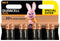 Duracell Plus - AA Batteries - Pack of 8