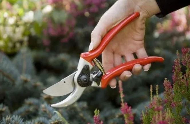 Spear and Jackson 2222BS Bypass Secateurs