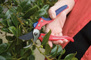 Spear and Jackson 7159BS Razorsharp Bypass Secateurs