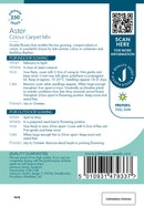 Johnsons Seeds Aster Colour Carpet Mixed