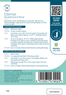 Johnsons Seeds Cosmos Double Dutch Rose Seeds