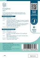 Johnsons Seeds Foxglove Alba