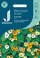 Black Eyed Susan Susie Mixed