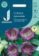 Johnsons Seeds Cobaea Cathedral Bells
