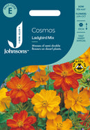 Johnsons Seeds Cosmos Ladybird Mixed