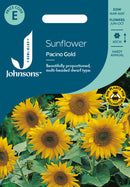 Johnsons Seeds Sunflower Pacino Gold