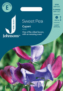 Johnsons Seeds Sweet Pea Cupani