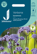 Johnsons Seeds Verbena bonariensis