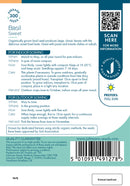 Johnsons Seeds Basil Sweet Organic