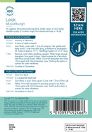 Johnsons Seeds Leek Musselburgh