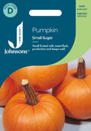 Johnsons Seeds Pumpkin Small Sugar