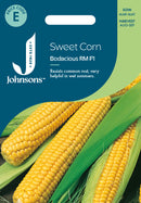 Johnsons Seeds Sweet Corn Bodacious RM F1