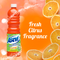 Asevi Concentrated Orange Floor Cleaner 1 Litre