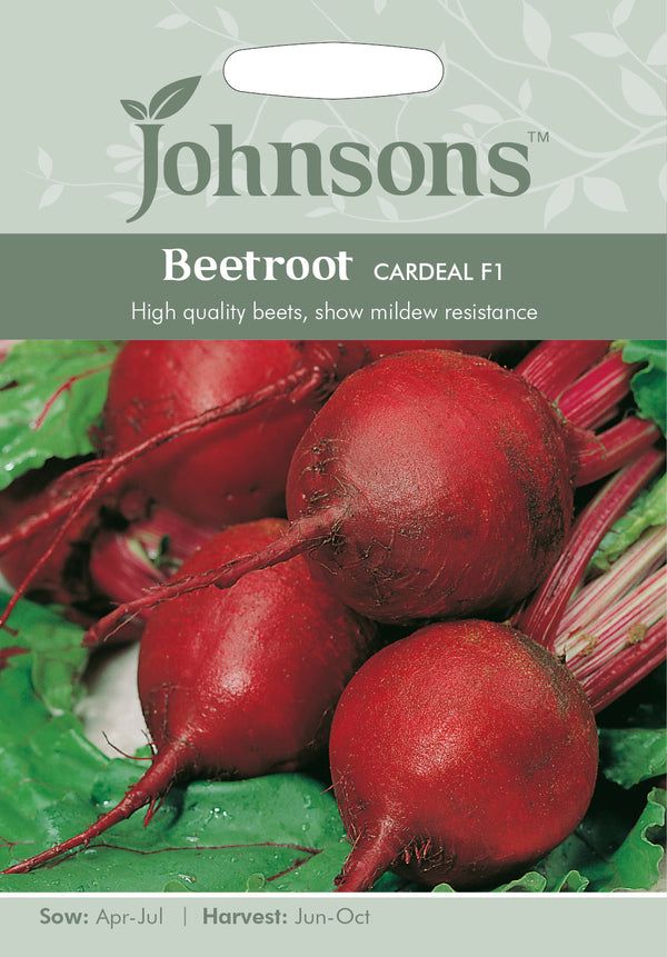Johnsons Seeds Beetroot Cardeal F1