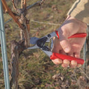 Felco Model 12 Compact Deluxe Secateurs FM12