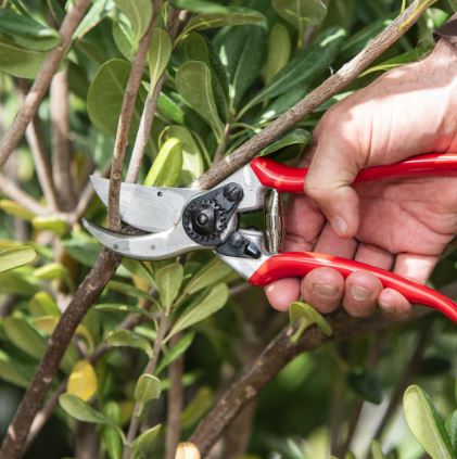 Felco No: 2 Secateurs original