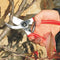 Felco Model 2 Original Secateurs L109