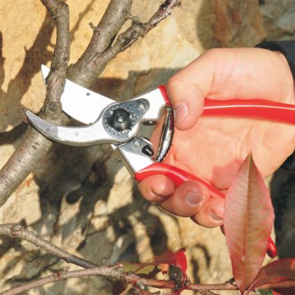 Felco Model 2 Original Secateurs L109