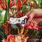 Felco No: 4 Secateurs Standard