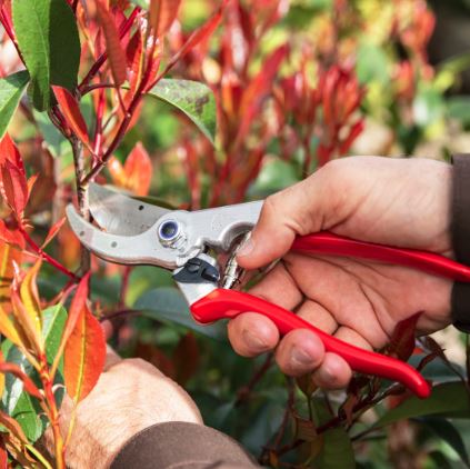 Felco No: 4 Secateurs Standard