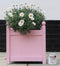 Frenchic Al Fresco Limited Edition Poppet 500ml Chalk and Mineral Furniture Paint