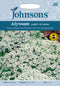 Johnsons Seeds Alyssum Carpet of Snow