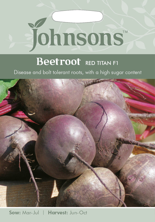 Johnsons Seeds Beetroot Red Titan F1