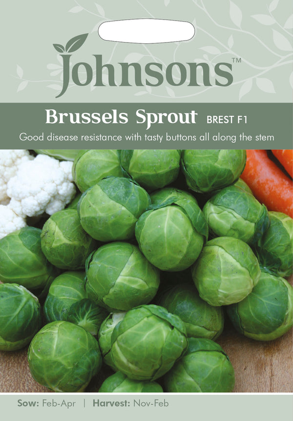 Johnsons Seeds Brussels Sprout Brest F1