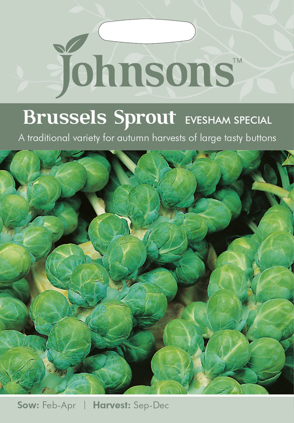 Johnsons Seeds Brussels Sprout Evesham Special