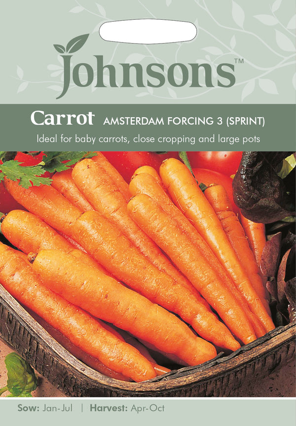 Johnsons Seeds Carrot Amsterdam Forcing 3 (Sprint)
