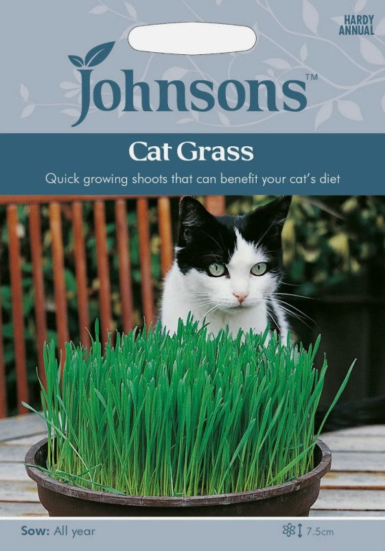 Johnsons Seeds Cat Grass