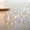 Premier Battery Operated 50 LED Microbrights Lights White and Warm White