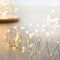 Premier Battery Operated 100 LED Microbrights Warm White