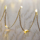 Premier Battery Operated 100 LED Microbrights Warm White