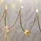 Premier Battery Operated 100 LED Microbrights Warm White
