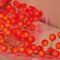 Premier 280 LED Microbrights Berry Garland Lights