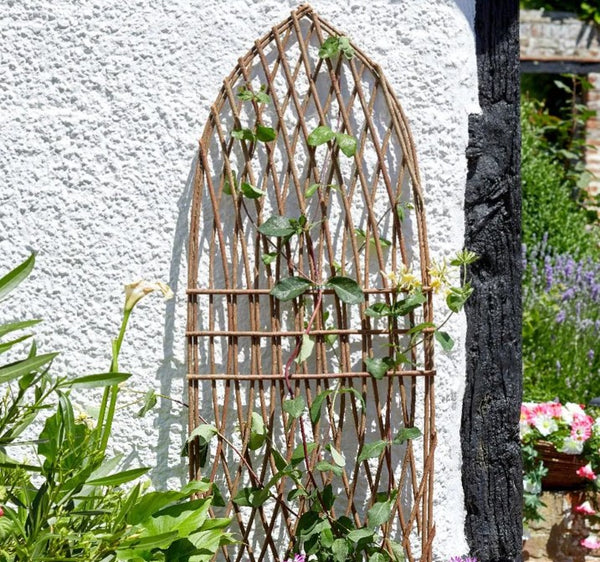 Smart Garden Minster Willow Trellis Gothic 1.8 x 0.6m NORFOLK DELIVERY ONLY