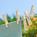 Elliott Pinewood Pegs 36 Pack