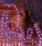 Premier 100 LED Compact Ultra Brights 1.5m Purple Lights